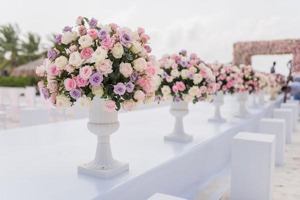Flower, Plant, Flowerpot