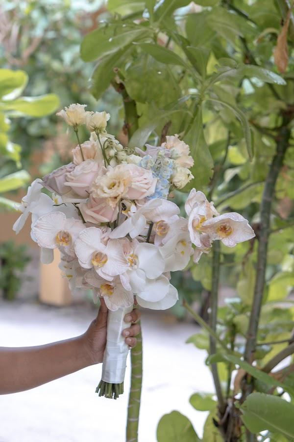 Plant, Flower