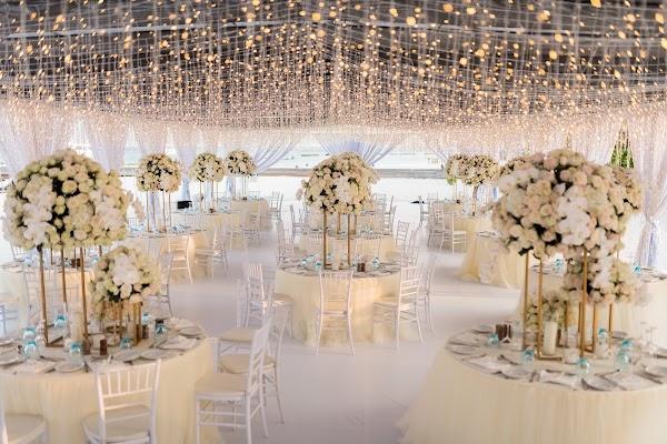 Plant, Decoration, Table, Furniture