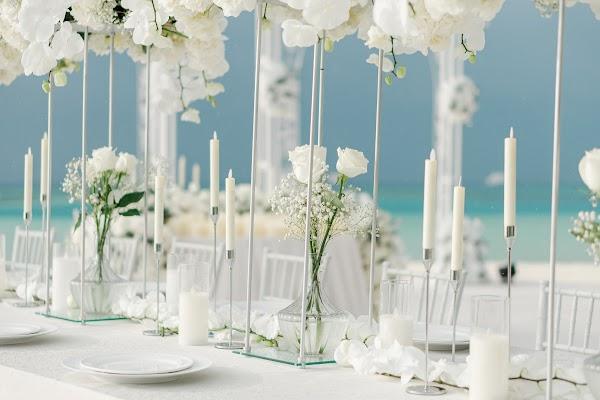 Flower, Plant, White, Tableware