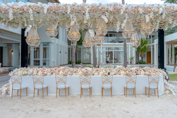 Furniture, Decoration, Property