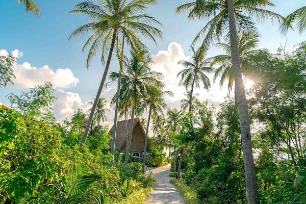 Weddings and events produced in Roanu, 17 May – 29 May, Maldives — frame 9