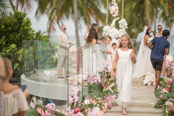 Flower, Wedding dress, Bride, Plant