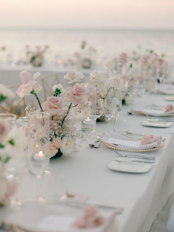 Plant, Flower, Table, Tableware