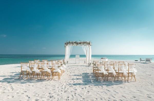 Chair, Water, Furniture, Beach