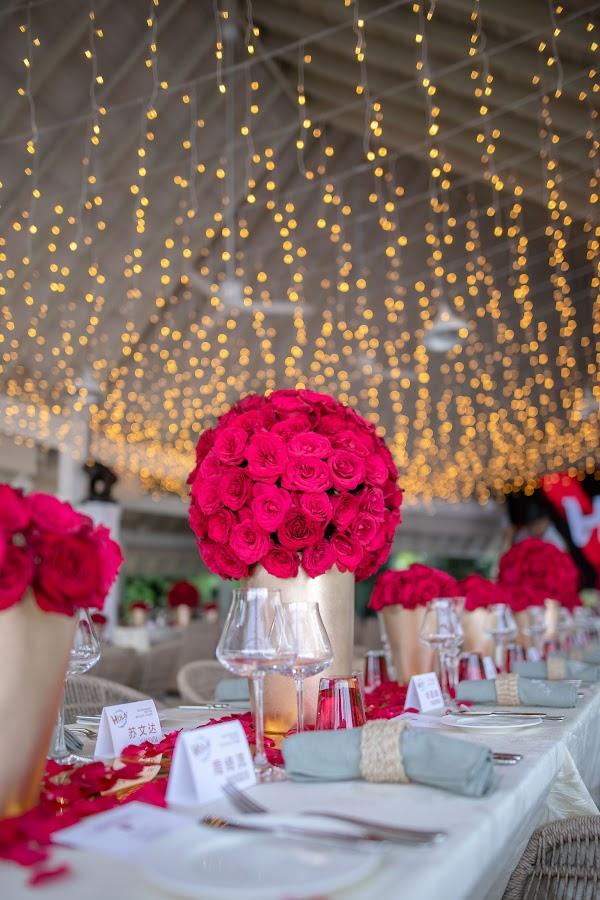 Flower, Plant, Tableware, Decoration