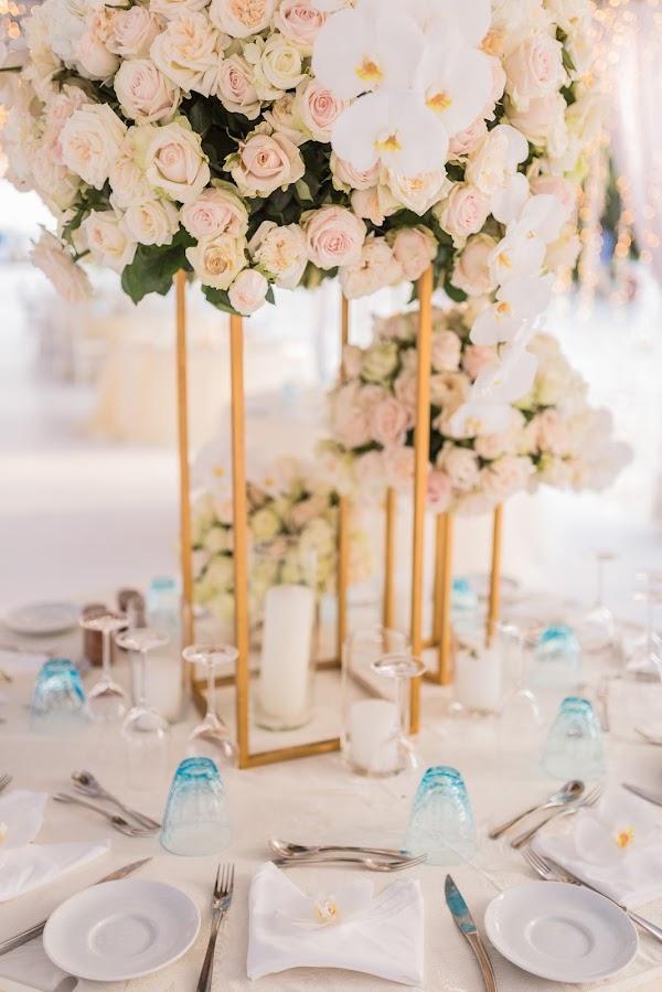 Plant, Flower, White, Decoration