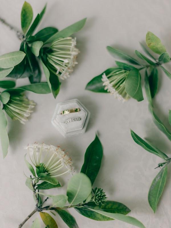 Flower, Petal, Leaf, Botany