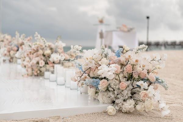 Flower, Cloud, Sky, Plant