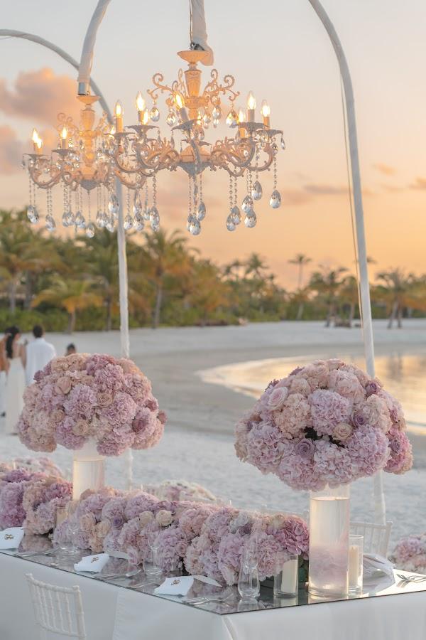 Sky, Flower, White, Table