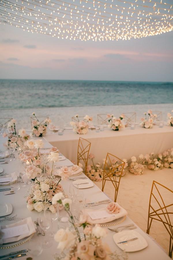 Plant, Tableware, Table, Water