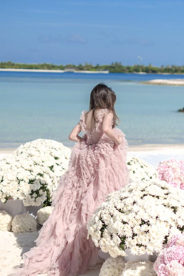 Flower, Sky, Water
