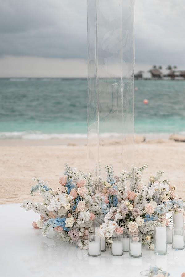 Flower, Water, Plant, Sky