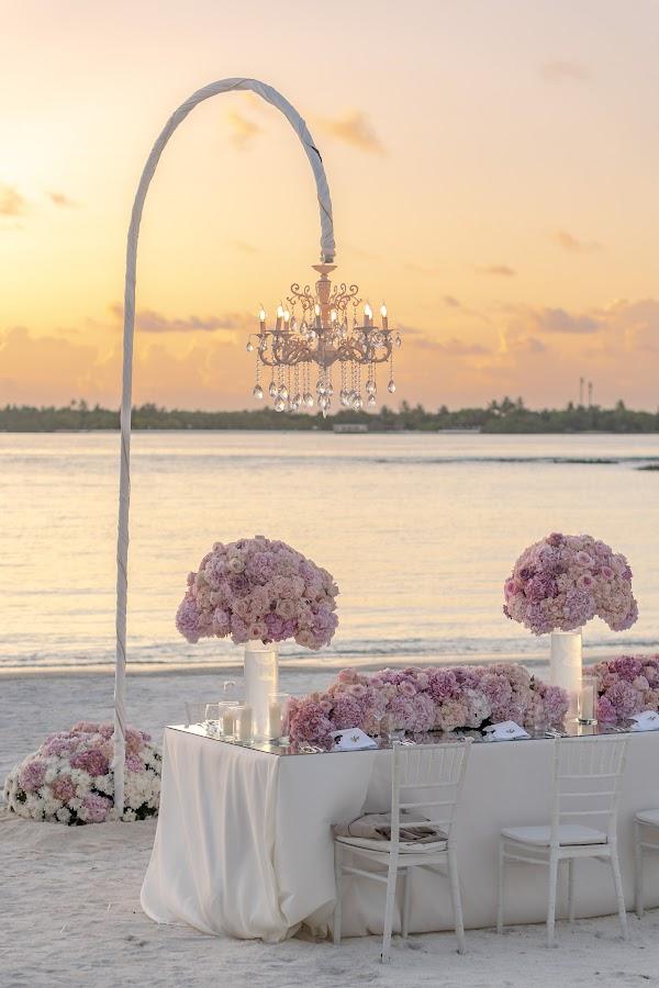 Flower, Photograph, Sky, Decoration