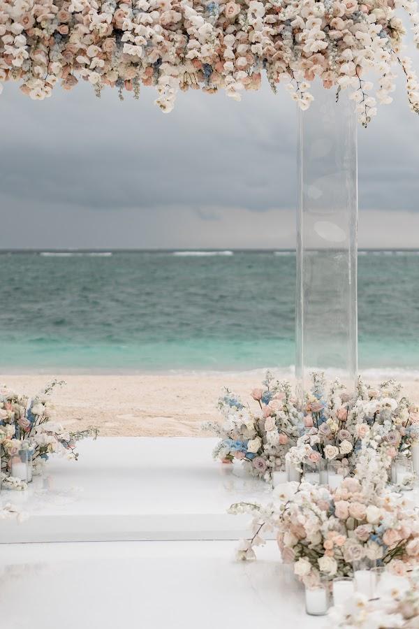 Flower, Water, Sky, Plant