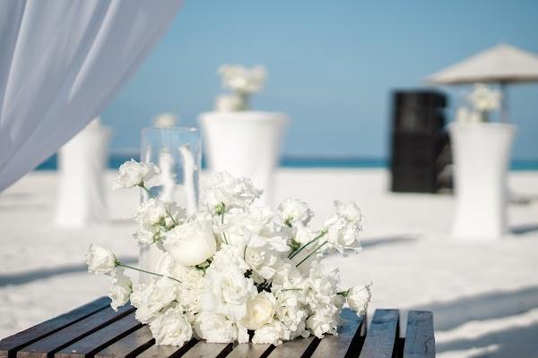 Table, White, Flower, Plant