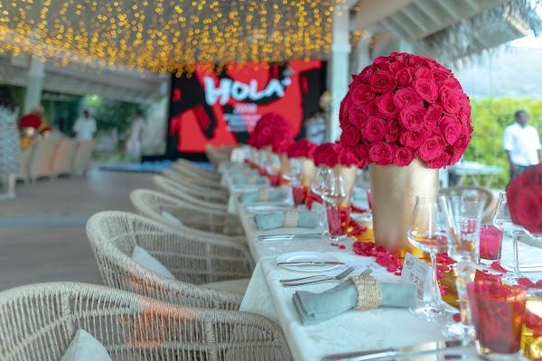 Flower, Plant, Tableware