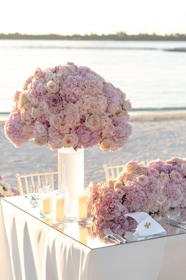Flower, Table, Plant