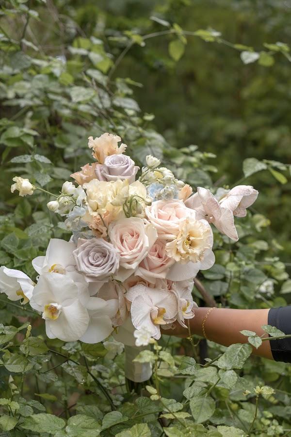 Flower, Petal, Plant, Hand