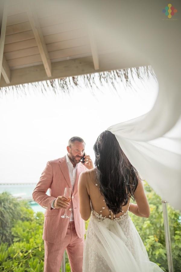 Wedding dress, Bridal clothing, Bride, Plant