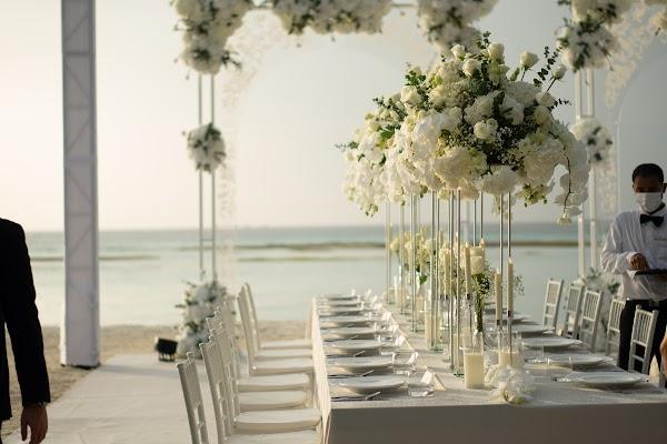 Plant, White, Table, Flower