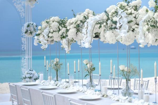 Flower, Plant, Decoration, Sky