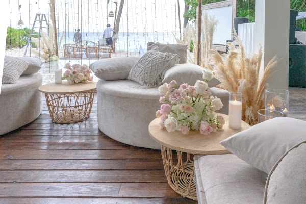 Plant, Furniture