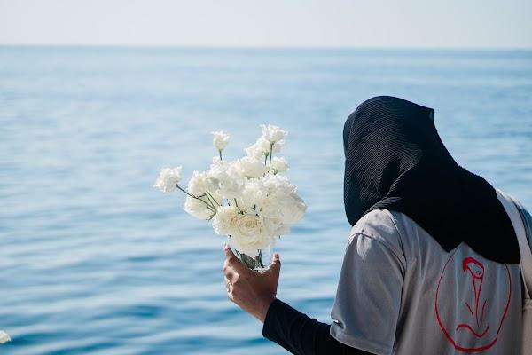 Water, Flower, Plant, Sky