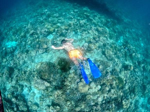 04 - Snorkeling Trip
