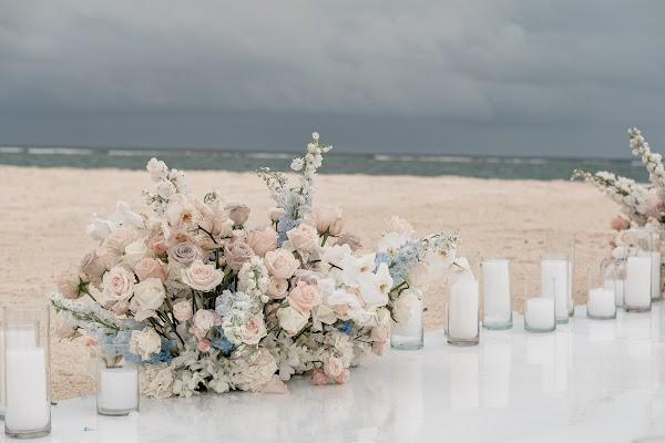 Cloud, Sky, Plant, Flower