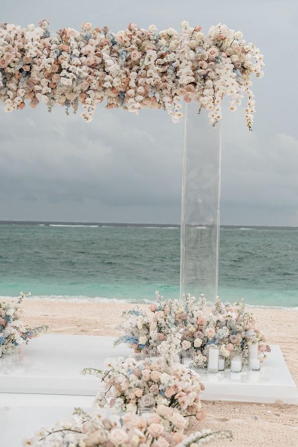 Flower, Plant, Sky, Water