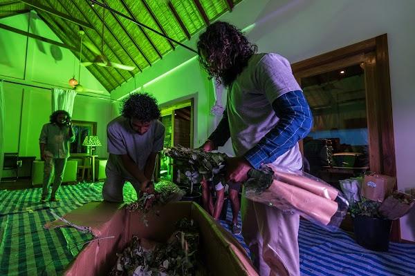 A Marrigic wedding at Constance Moofushi — , Constance Moofushi Maldives, Alifu Dhaalu Atoll, Maldives — frame 7