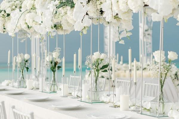Photograph, Decoration, Plant, Flower