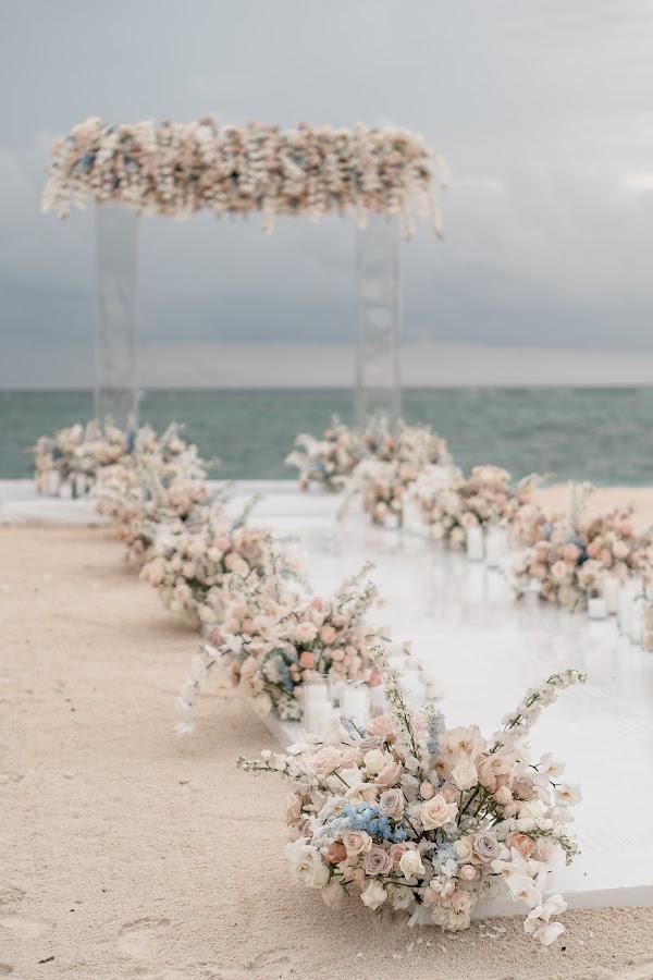 Sky, Water, Plant, Flower