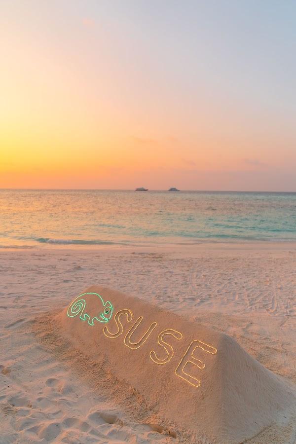 Suse President's Club retreat at LUX* South Ari Atoll — Decor, LUX* South Ari Atoll, Alifu Dhaalu Atoll, Maldives — frame 36