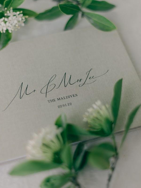 Photograph, Green, White, Flower