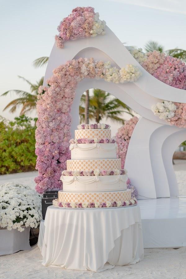 Flower, Sky, Plant, Decoration