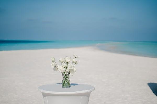 Marie & Marcel at COMO Cocoa Island — Blue, Flower, Plant, Water