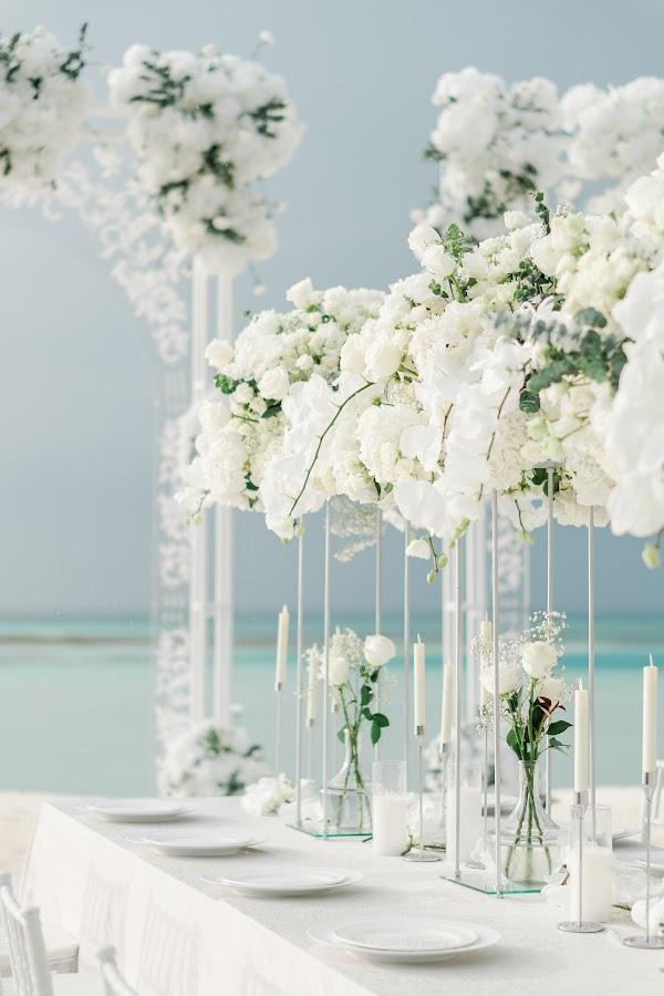 Flower, Table, Plant, Decoration