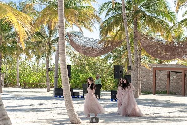 Botany, Wedding dress, Sky, Plant