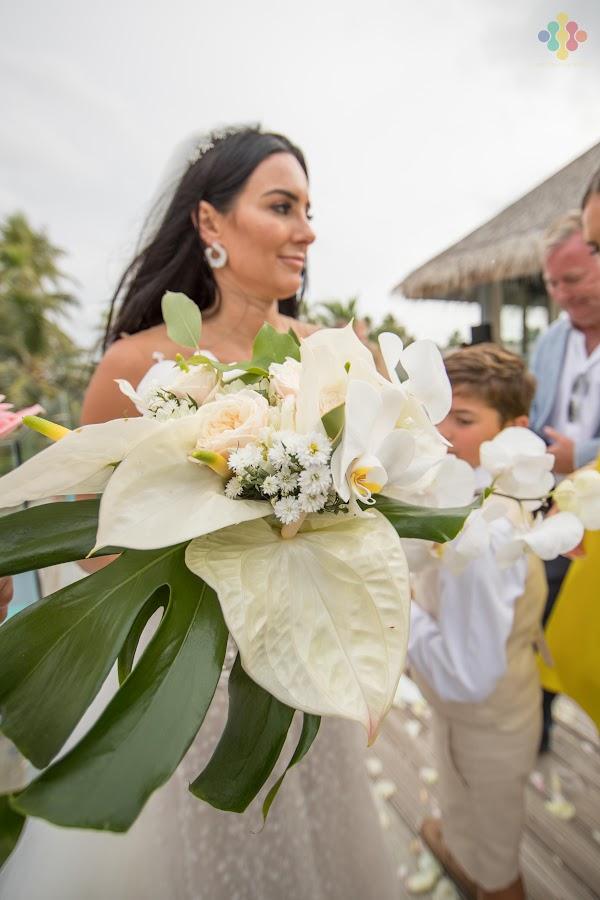 Smile, Sky, Plant, Bride