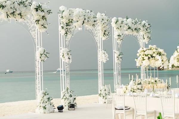 Water, Flower, Furniture, Table