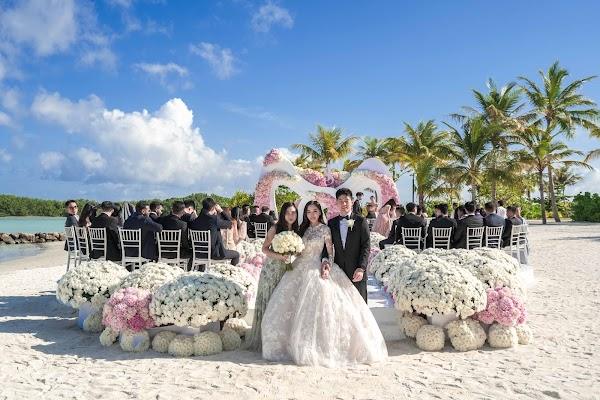 Cloud, Plant, Sky, Bride