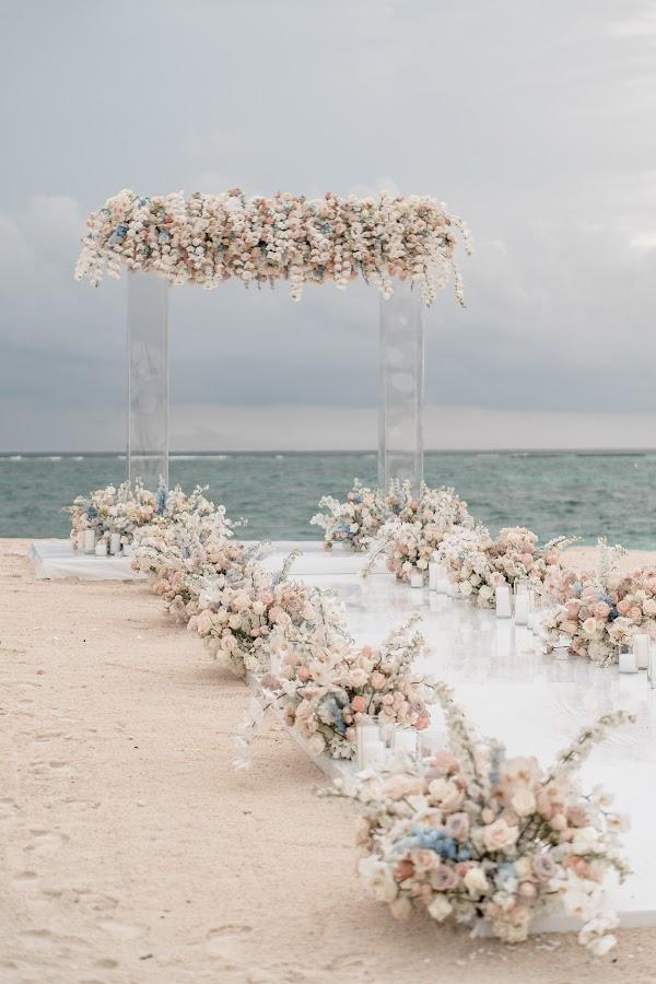 Flower, Water, Sky