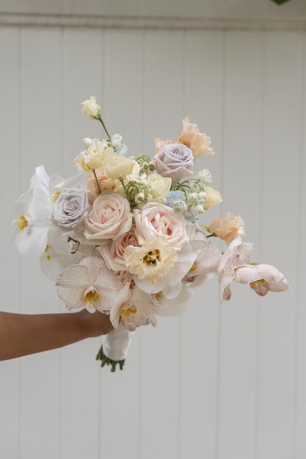 Plant, Flower, Petal
