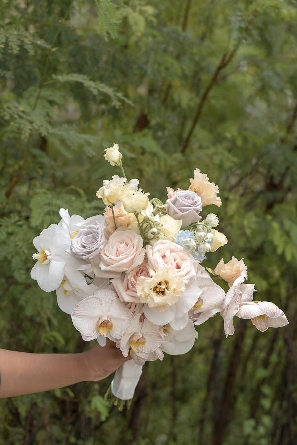 Flower, Plant