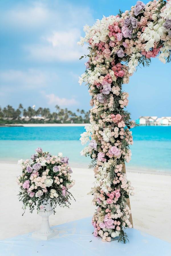 A Marrigic wedding at SAii Lagoon — A Marrigic wedding at SAii Lagoon — frame 5