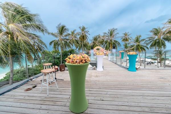 Splendid Maldives retreat at Seaside Finolhu — Flower, Plant, Water, Cloud