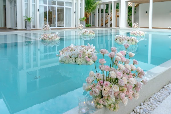 White, Water, Plant, Property