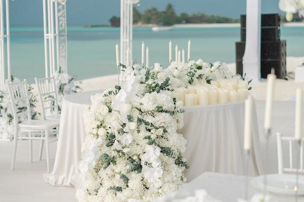 Flower, Plant, Decoration